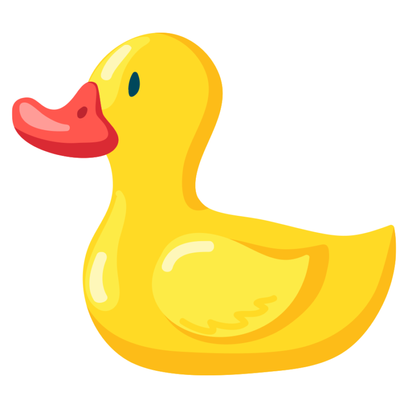 Duck toy